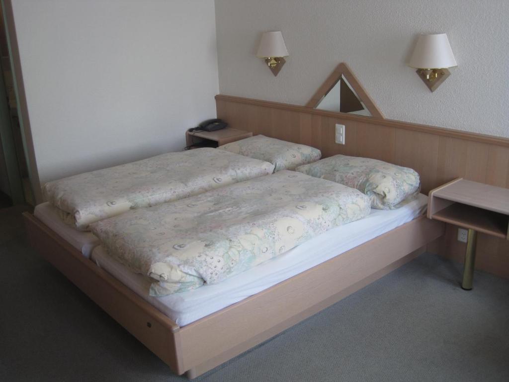 Hotel Des Alpes Realp Room photo